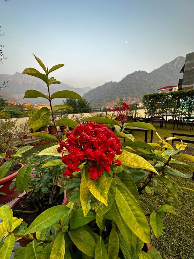 Hotel Dewa Retreat- A Himalayan Boutique Hotel Rišikéš Exteriér fotografie